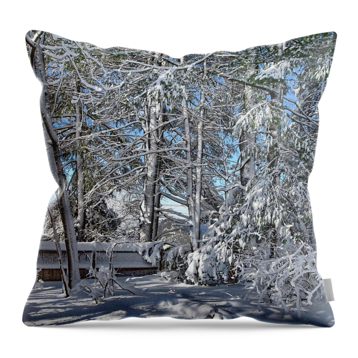 Winter Throw Pillow featuring the photograph View from my Window by Lyuba Filatova