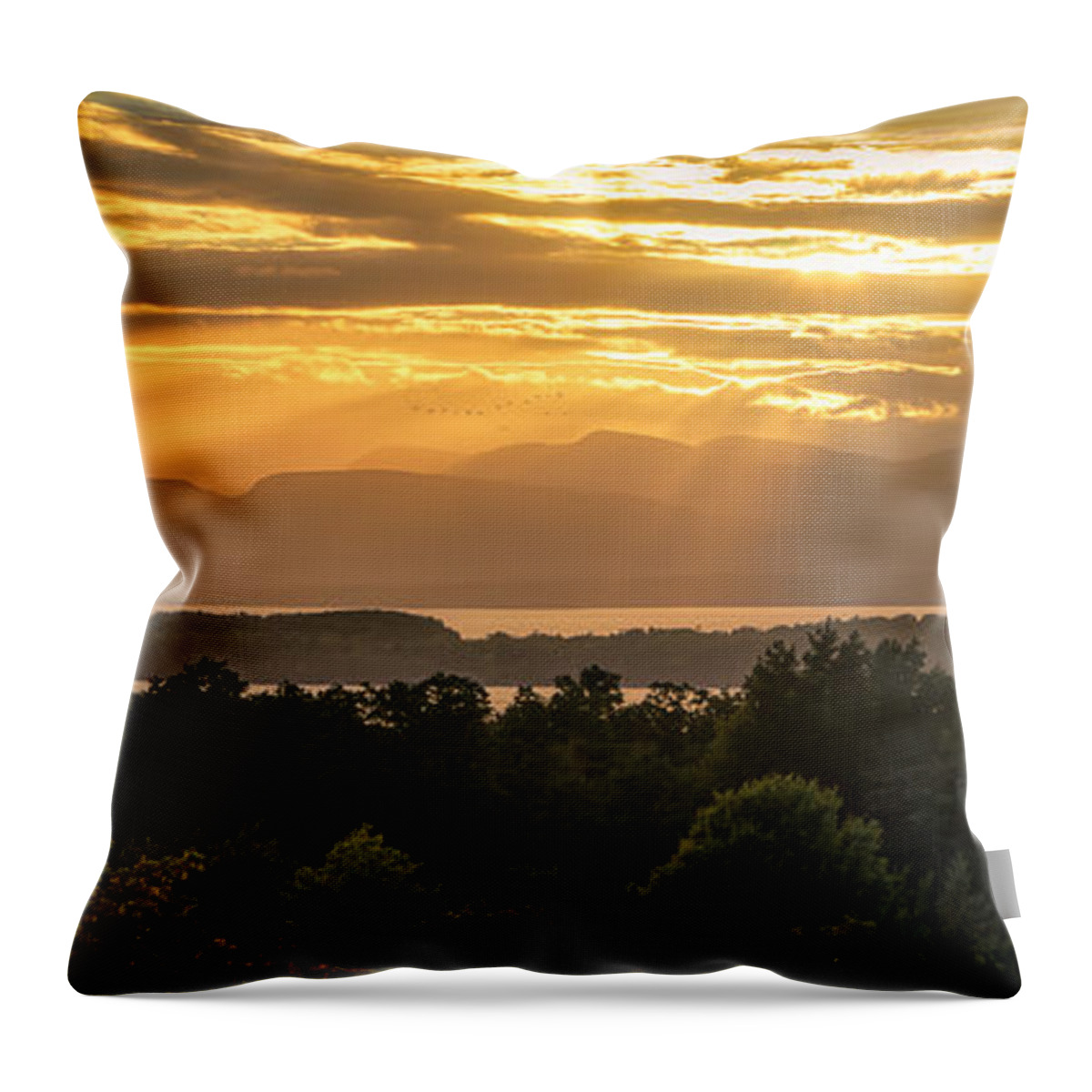 Burlington Throw Pillow featuring the photograph View from Overlook Park by Craig Szymanski