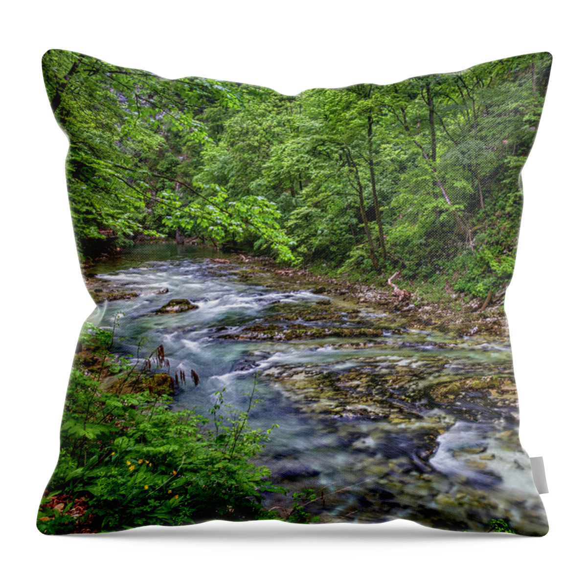 Slovenia Throw Pillow featuring the photograph View in Vintgar Gorge - Slovenia by Stuart Litoff