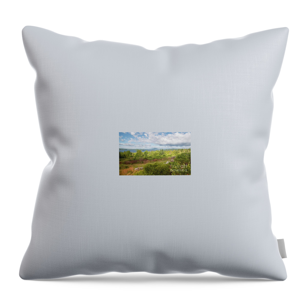 Lake Throw Pillow featuring the photograph View of Rangeley Lake by Marie Fortin