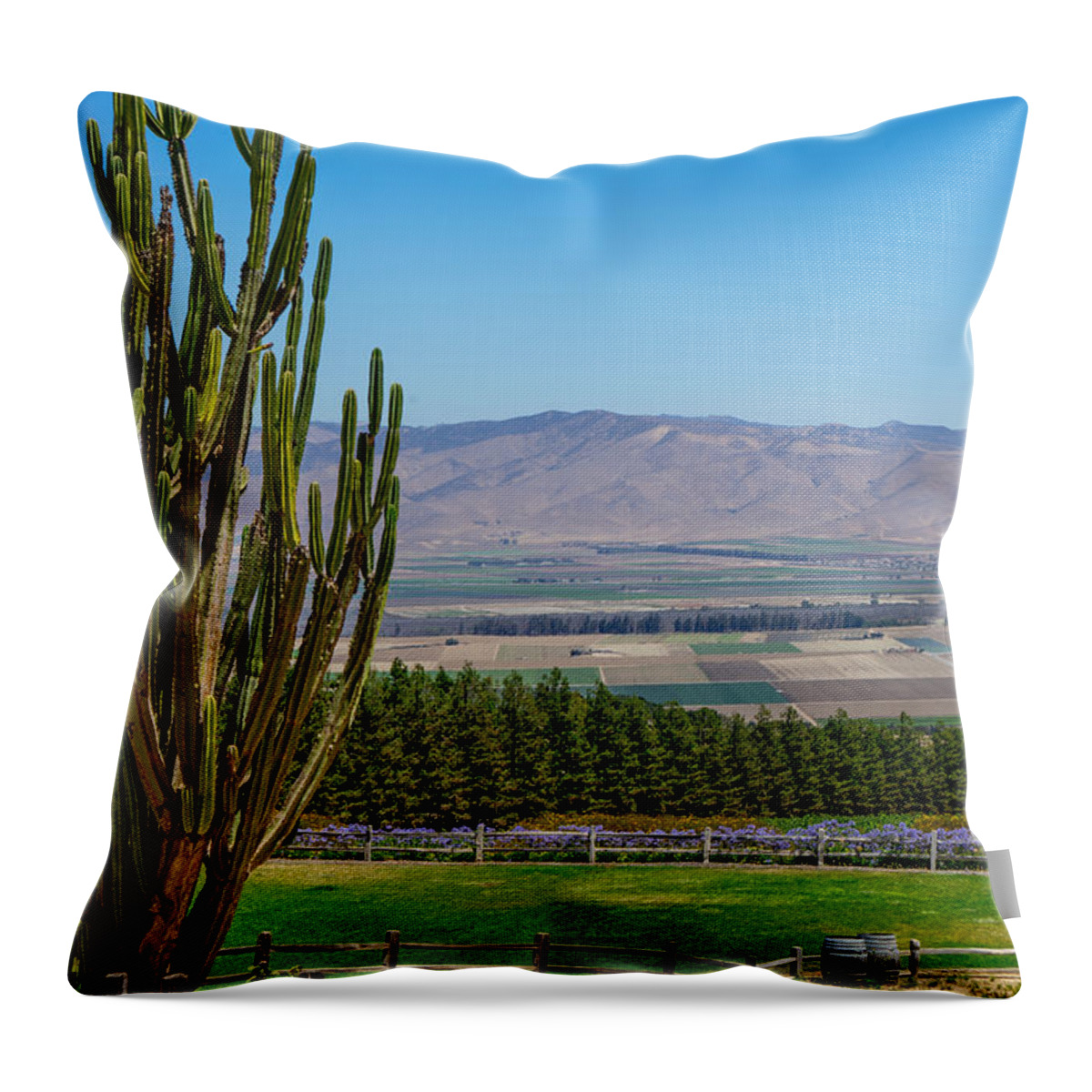 Soledad Throw Pillow featuring the photograph View of Salinas Valley by Derek Dean