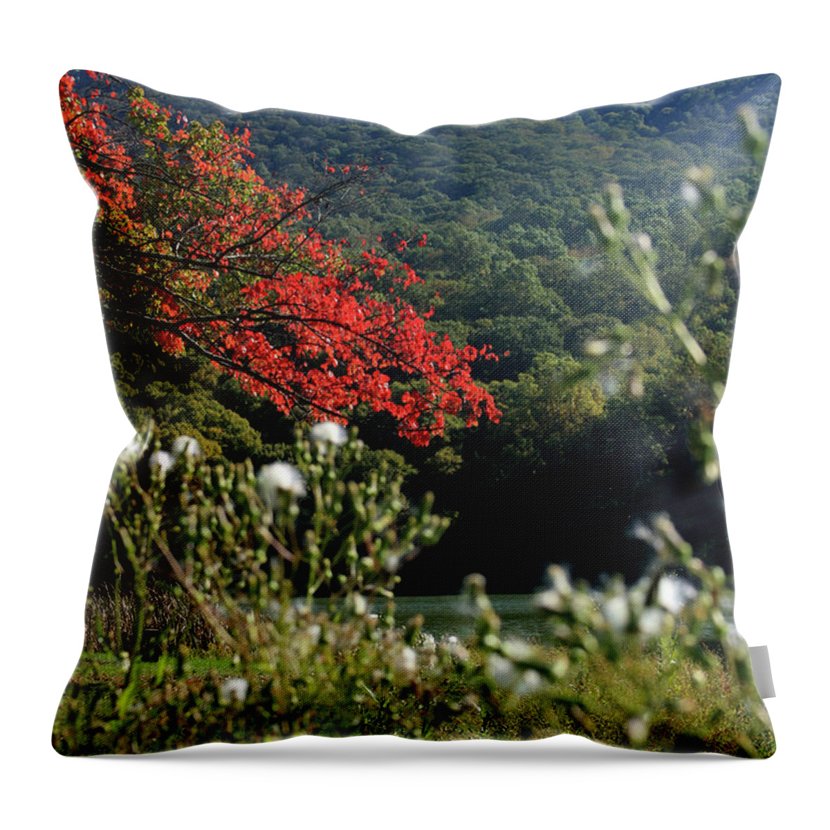 Lake Throw Pillow featuring the photograph View of Sharp Top in autumn by Emanuel Tanjala