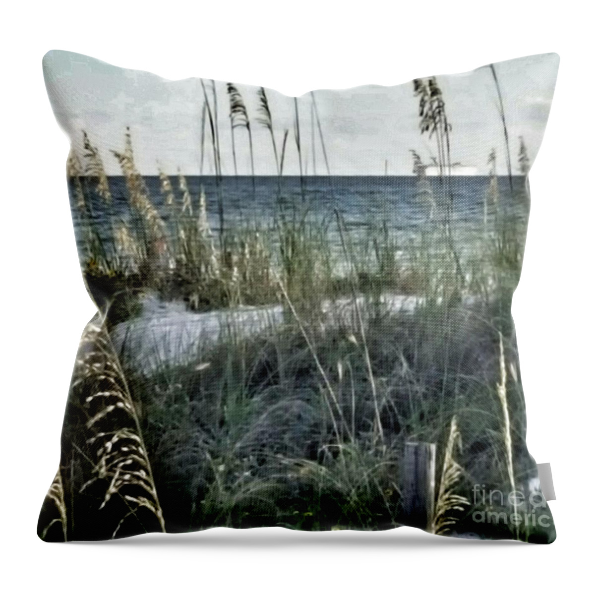 Digitally Enhanced Image. This Is My Dream View Of A Place I Love. Throw Pillow featuring the photograph Viewpoint Mine by Rachel Hannah