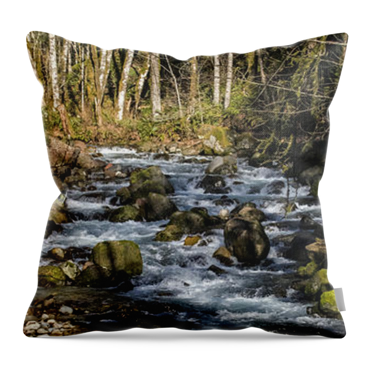 Streams Throw Pillow featuring the photograph Views Of A Stream, II by Chuck Flewelling