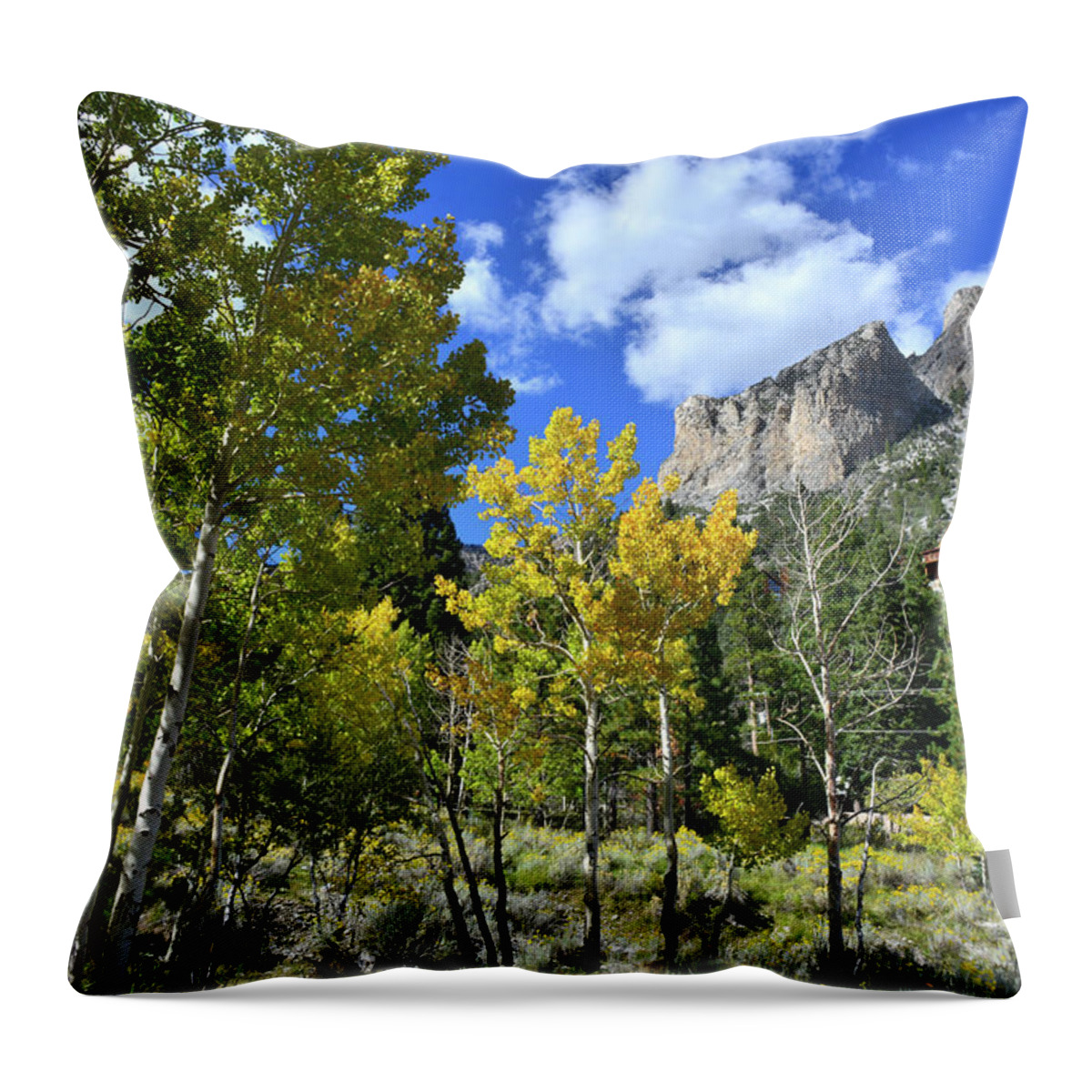 Humboldt-toiyabe National Forest Throw Pillow featuring the photograph Village Beneath Mt. Charleston by Ray Mathis