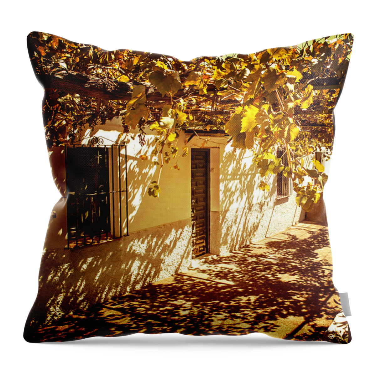 Grape Throw Pillow featuring the photograph Vine-Covered Patio. Andalusia. Spain by Jenny Rainbow