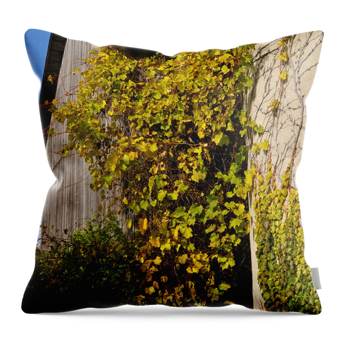 Silo Throw Pillow featuring the photograph Vined Silo by Tim Nyberg