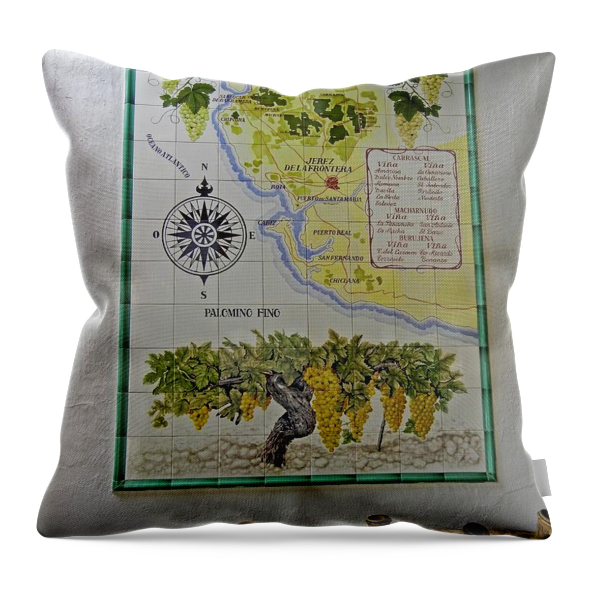 Europe Throw Pillow featuring the photograph Vinedos Tio Pepe - Jerez de la Frontera by Juergen Weiss