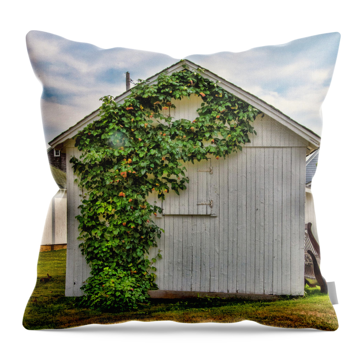 Shed Throw Pillow featuring the photograph Vines On Shed by Cathy Kovarik