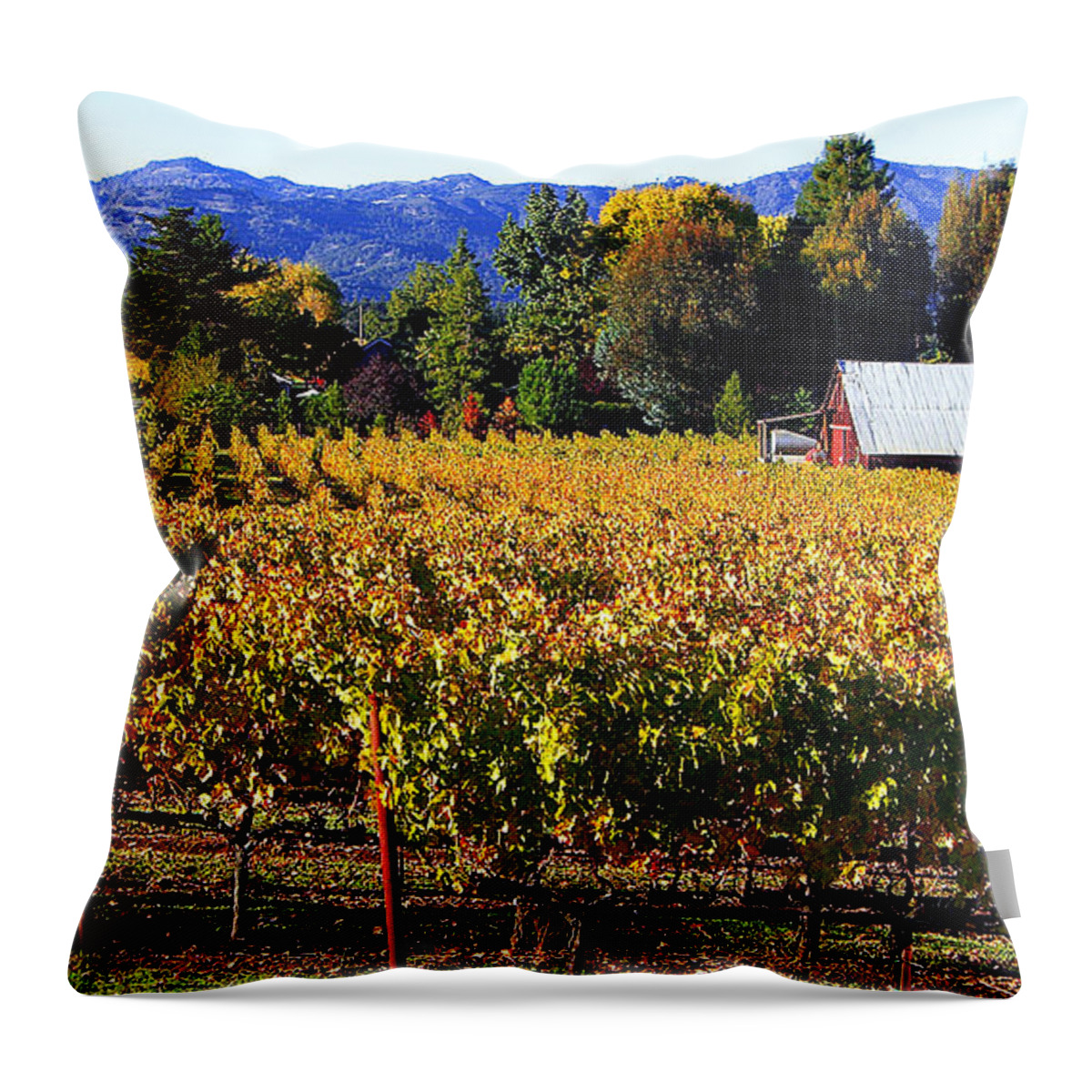 Napa Valley Throw Pillow featuring the photograph Vineyard 4 by Xueling Zou