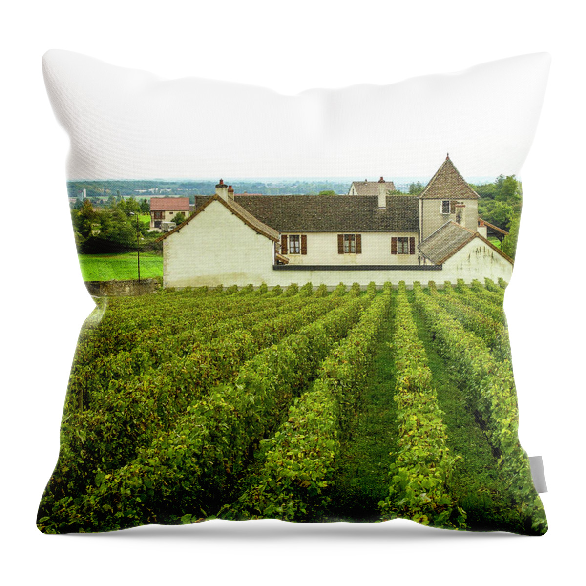 Vineyard Throw Pillow featuring the photograph Vineyard in France by Jim Mathis