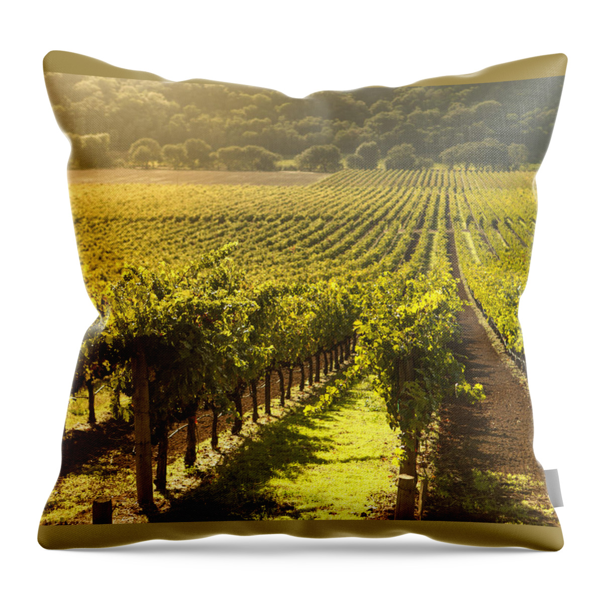 Vineyard Throw Pillow featuring the photograph Vineyard in Napa Valley by Diane Diederich