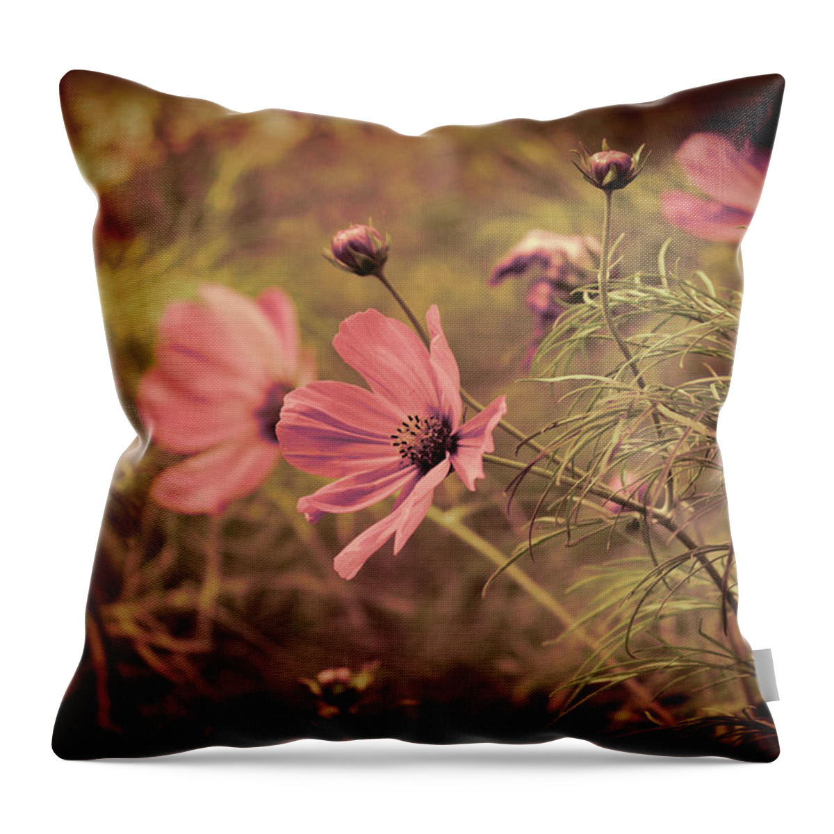 Vintage Throw Pillow featuring the photograph Vintage Cosmos by Douglas MooreZart