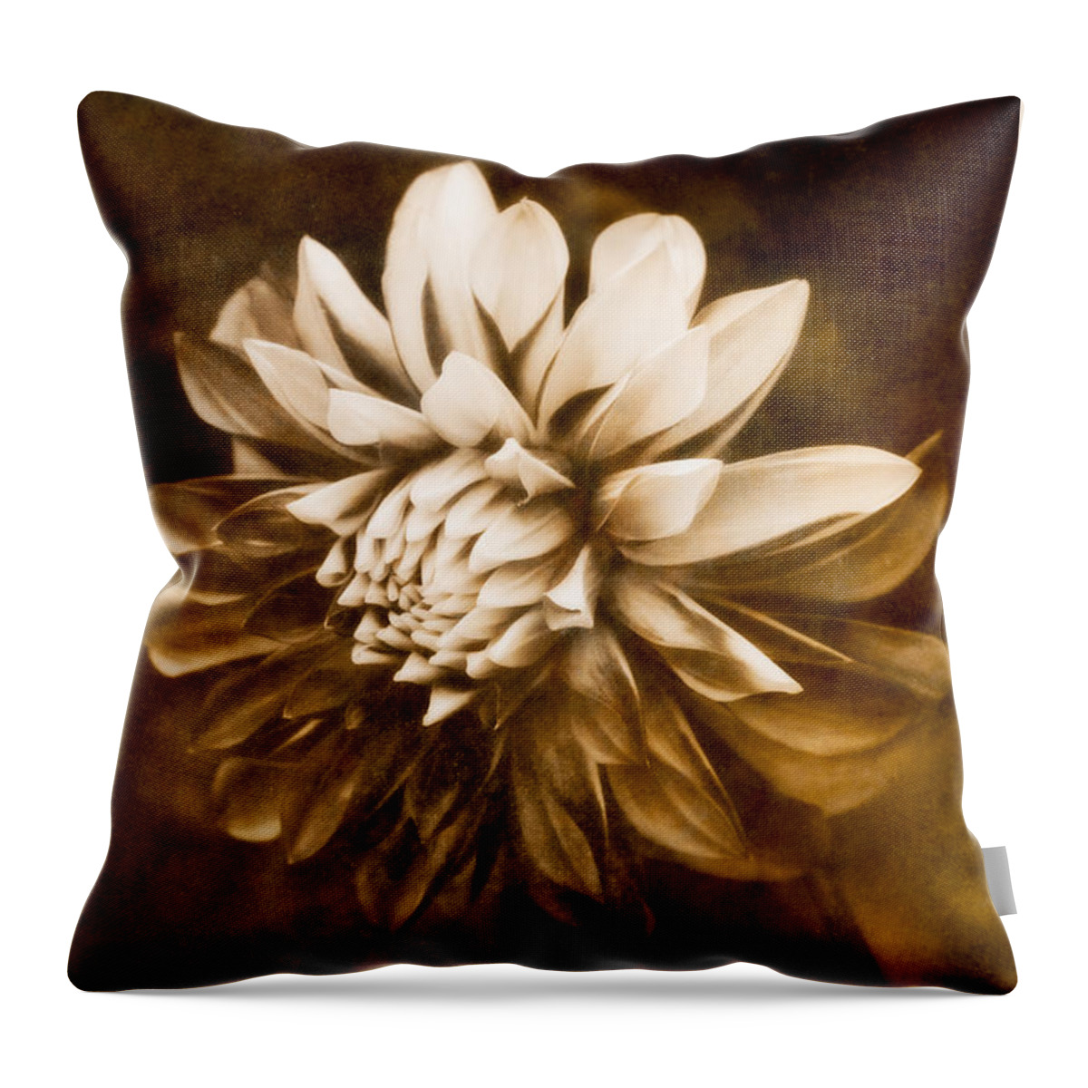 Abstract Throw Pillow featuring the photograph Vintage Dahlia by Venetta Archer