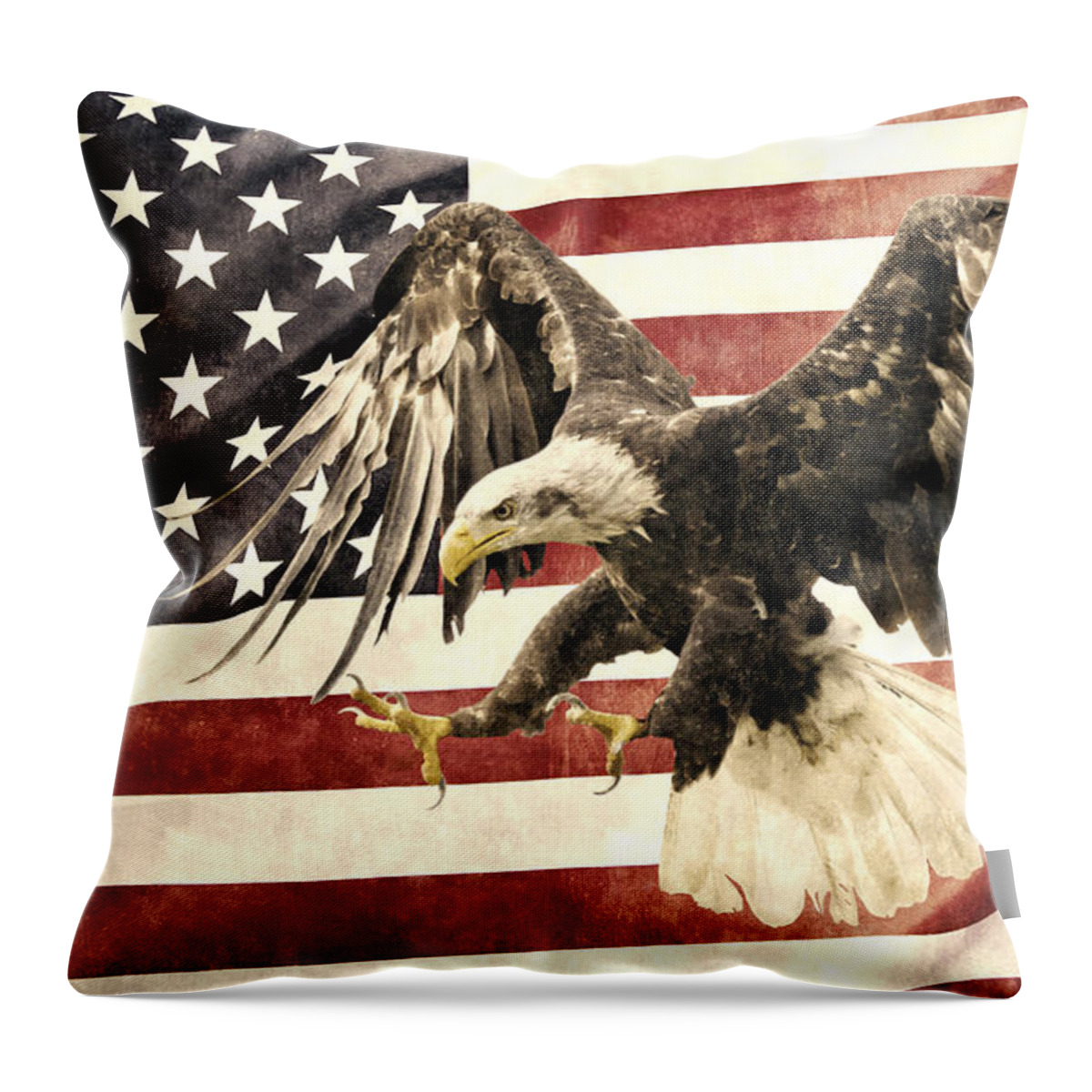 Vintage Throw Pillow featuring the photograph Vintage Flag with Eagle by Scott Carruthers