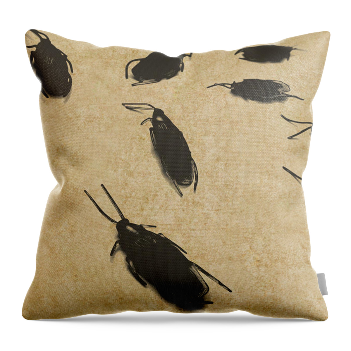 Cockroaches Throw Pillow featuring the photograph Vintage infestation by Jorgo Photography