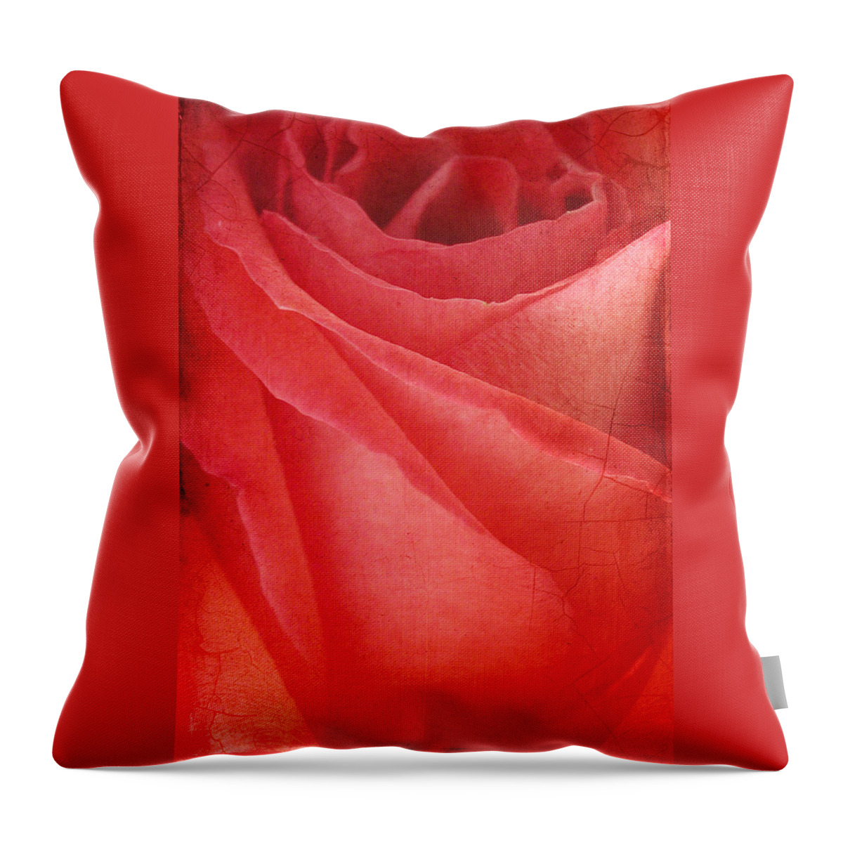 Rose Throw Pillow featuring the photograph Vintage Rose by Cathy Kovarik