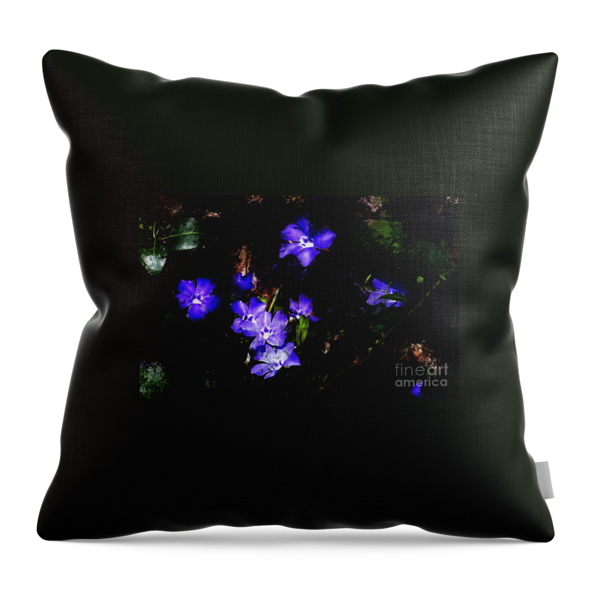 Spring Throw Pillow featuring the photograph Violet by David Lane