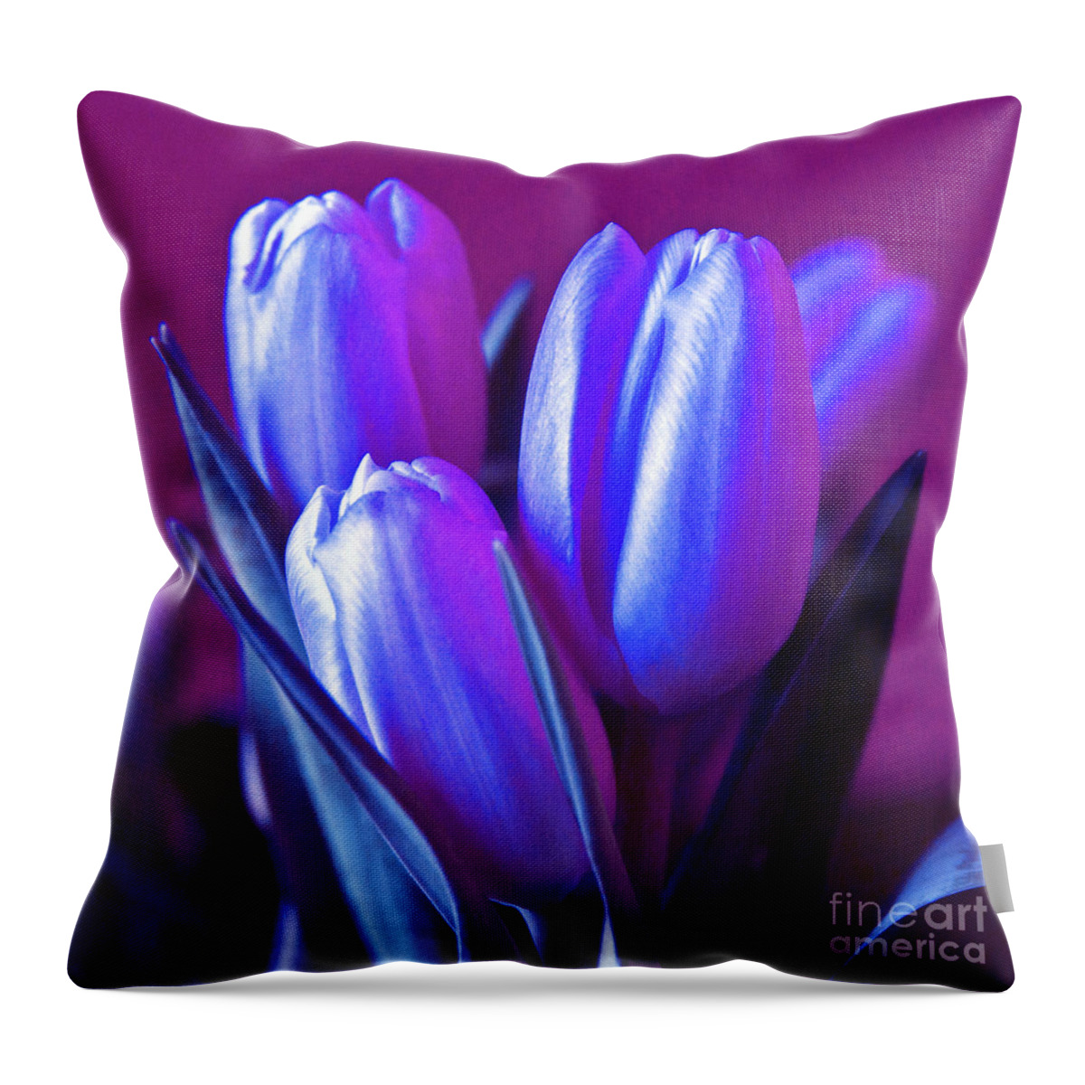 Violet Poetry Of Spring Throw Pillow featuring the photograph Violet Poetry of Spring by Silva Wischeropp