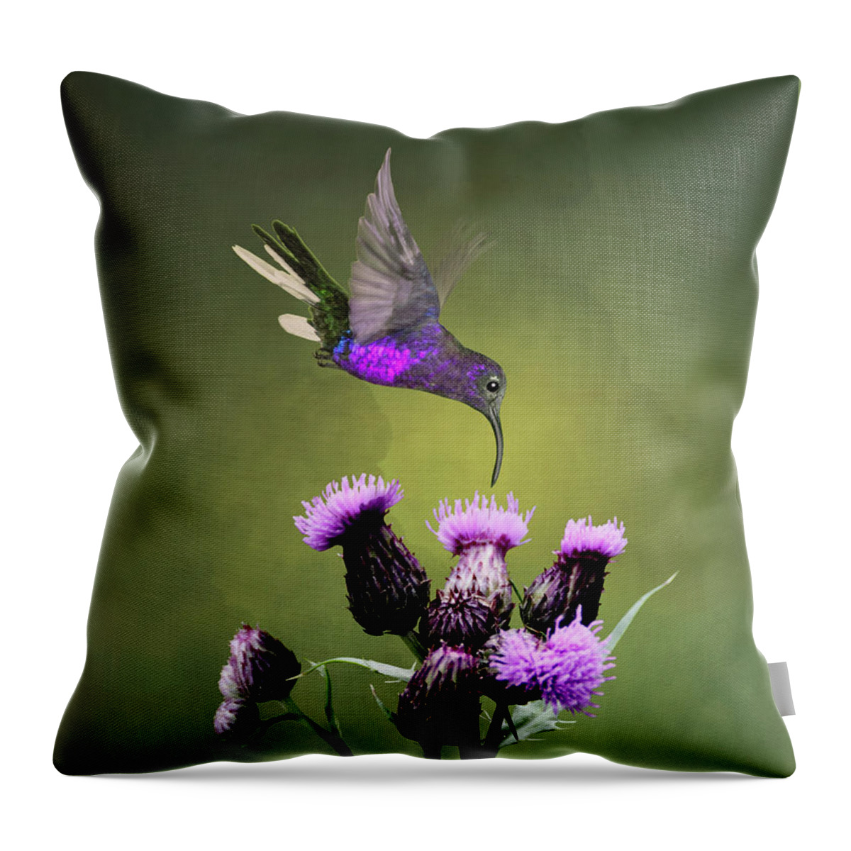 Bird Throw Pillow featuring the digital art Violet Sabrewing Hummingbird and Thistle by M Spadecaller
