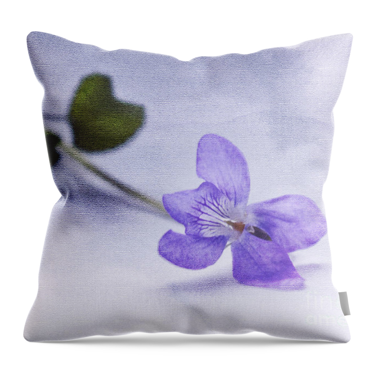 Purple Throw Pillow featuring the photograph Violet by Terri Waters