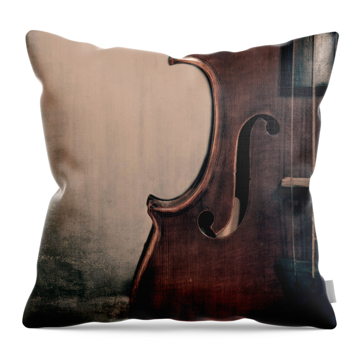 Violin Throw Pillow featuring the photograph Violin Portrait by Kadwell Enz