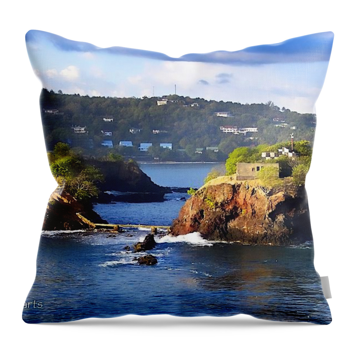 Virgin Island Throw Pillow featuring the photograph Virgin Islands by Dick Bourgault