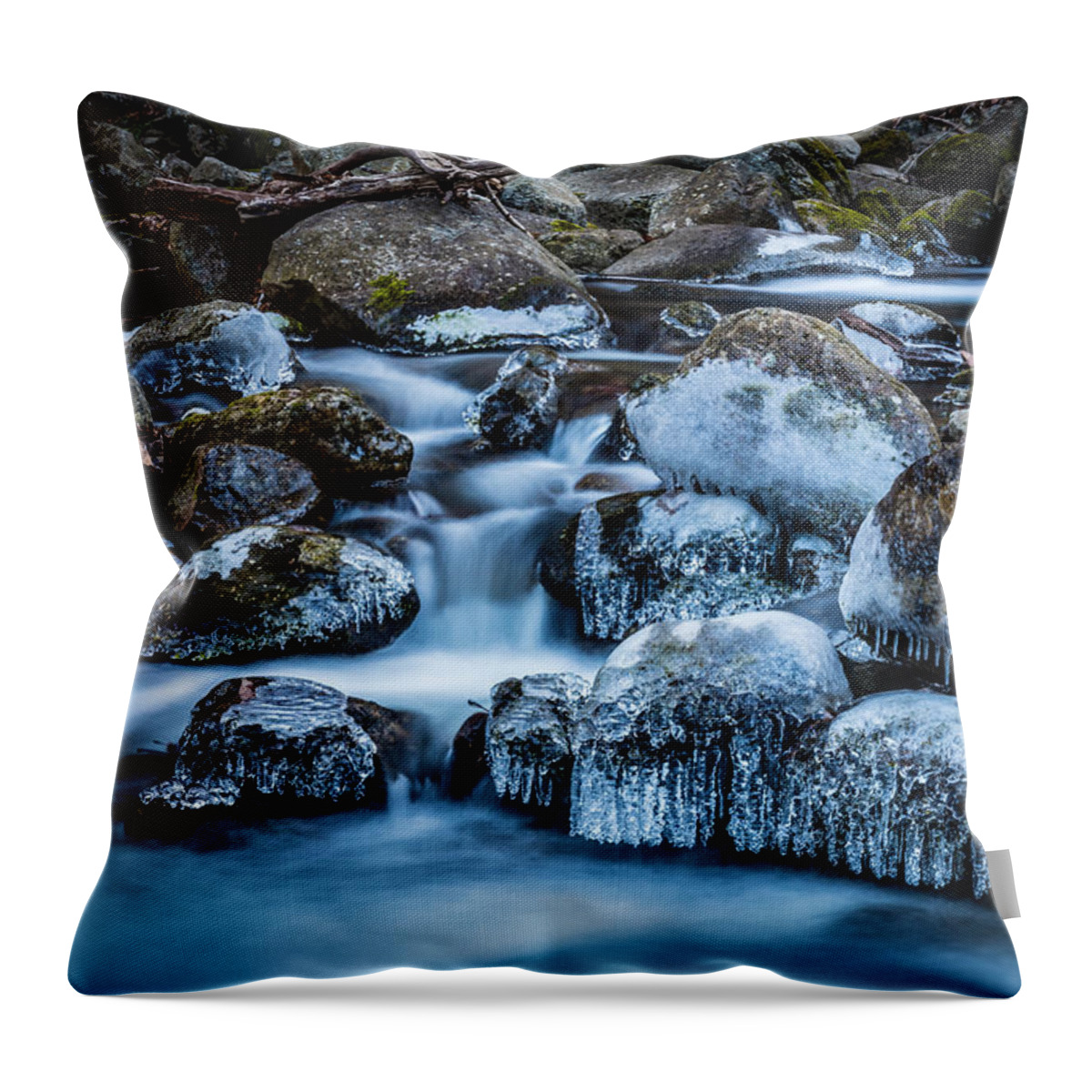 Art Throw Pillow featuring the photograph Virginia Ice by Gary Migues