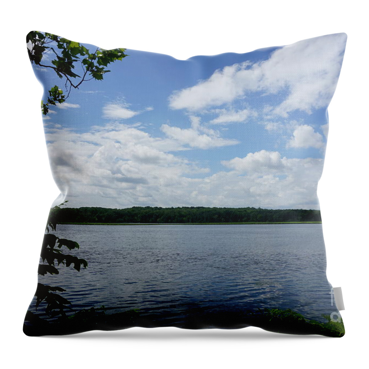 Lake Throw Pillow featuring the photograph Virginia Lake by Jimmy Clark