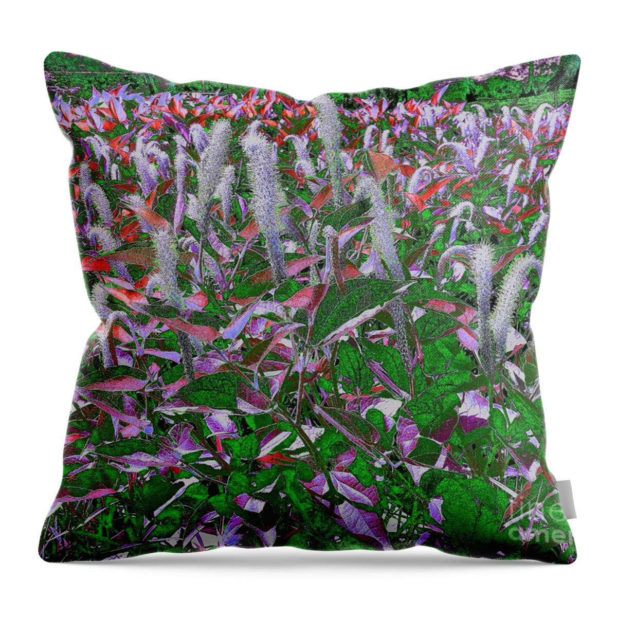 Abstract Throw Pillow featuring the digital art Vision Show by Rachel Hannah
