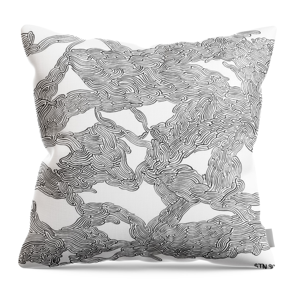 Mazes Throw Pillow featuring the drawing Visions by Steven Natanson
