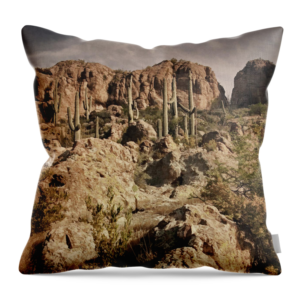 Desert Throw Pillow featuring the photograph Vista in the Desert bz by Theo O'Connor