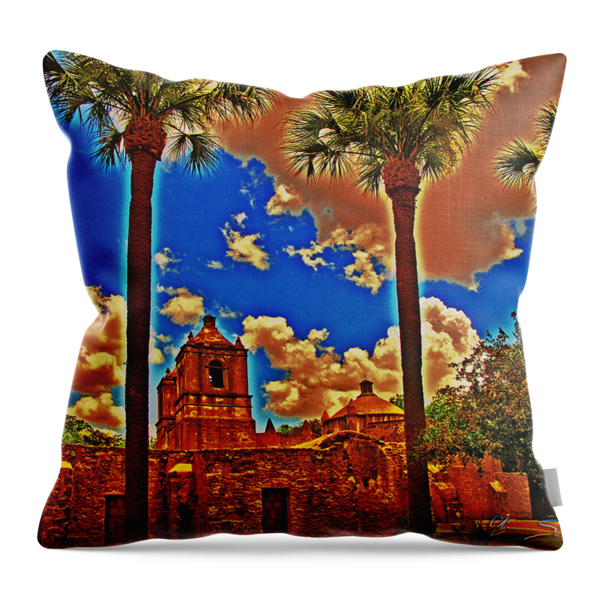 Art Throw Pillow featuring the photograph Viva Concepcion by Chas Sinklier