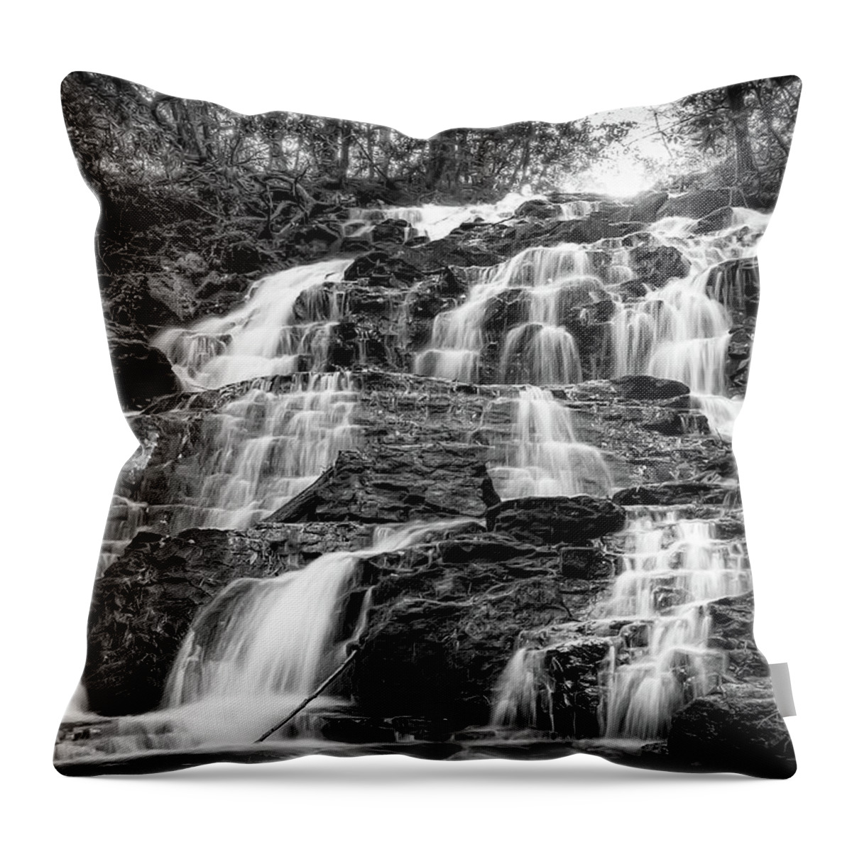 Vogel State Park Throw Pillow featuring the photograph Vogel State Park Waterfall by Anna Rumiantseva