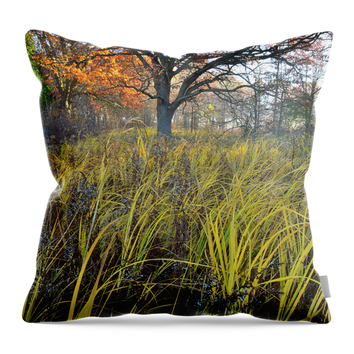 Illinois Throw Pillow featuring the photograph Volo Bog Natural Area by Ray Mathis
