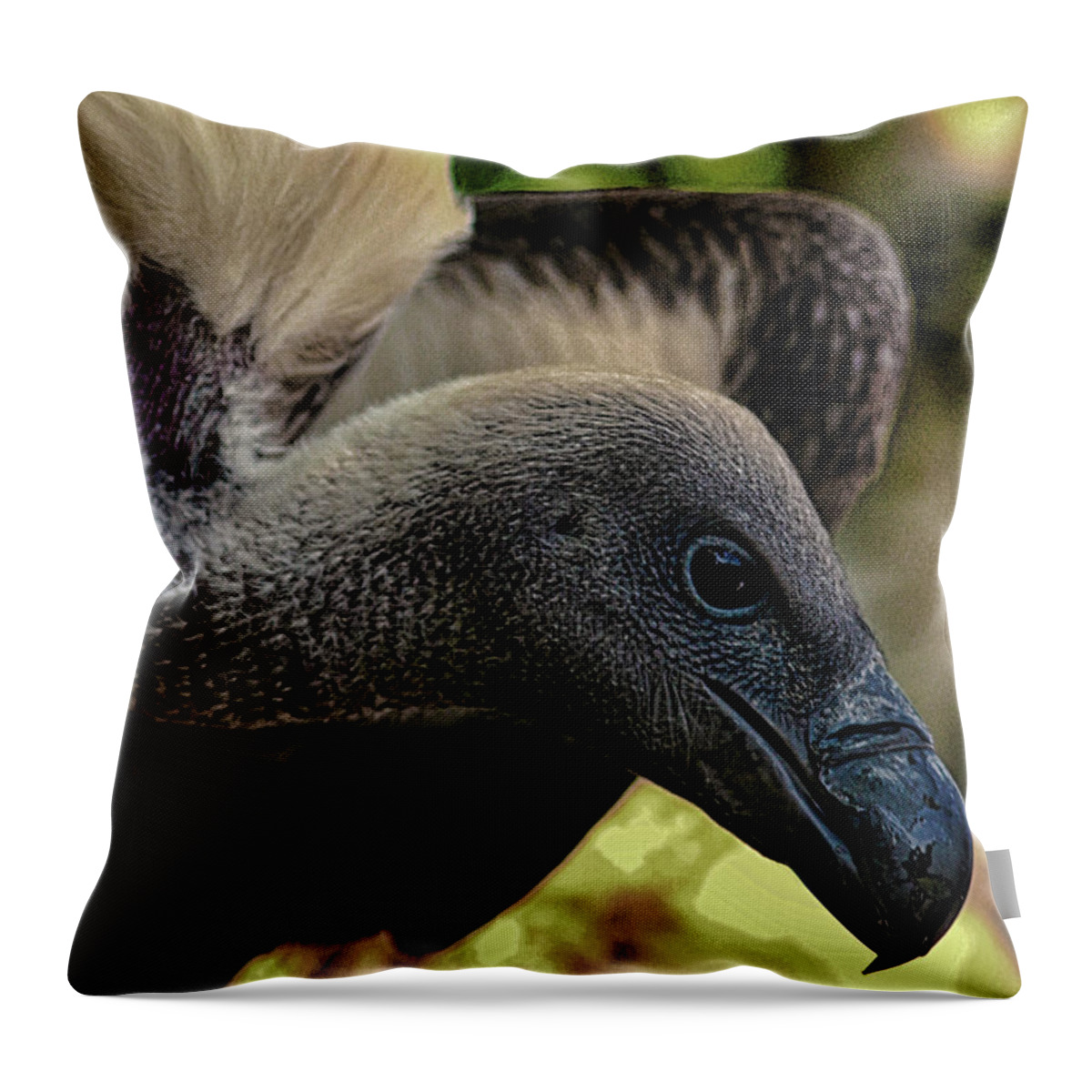 Vulture Throw Pillow featuring the photograph Vulture by Martin Newman