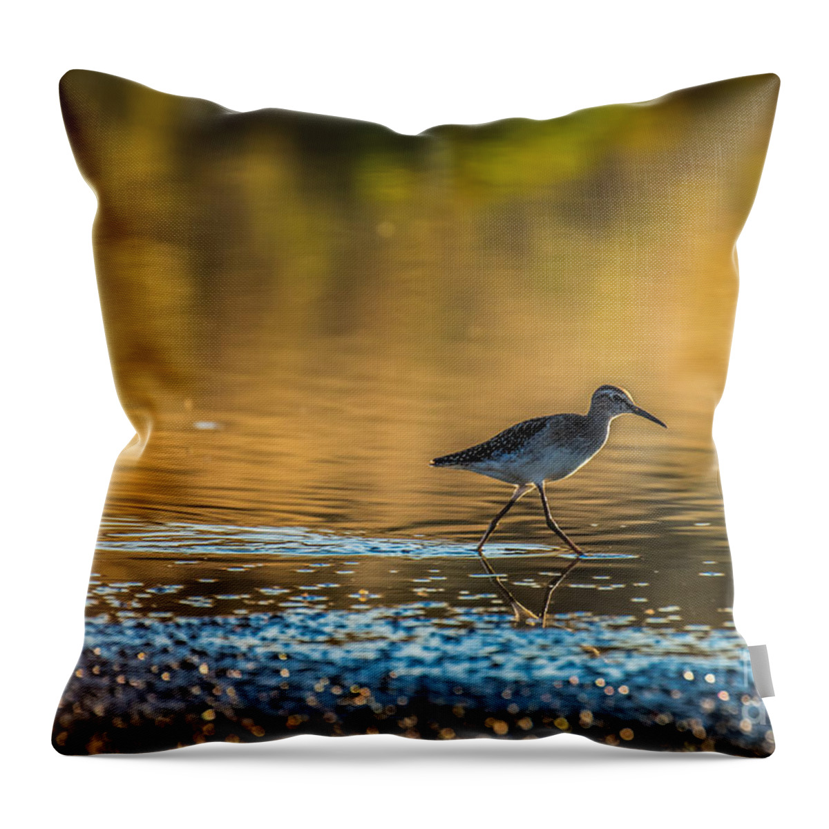 Animal Throw Pillow featuring the photograph Wading by Jivko Nakev
