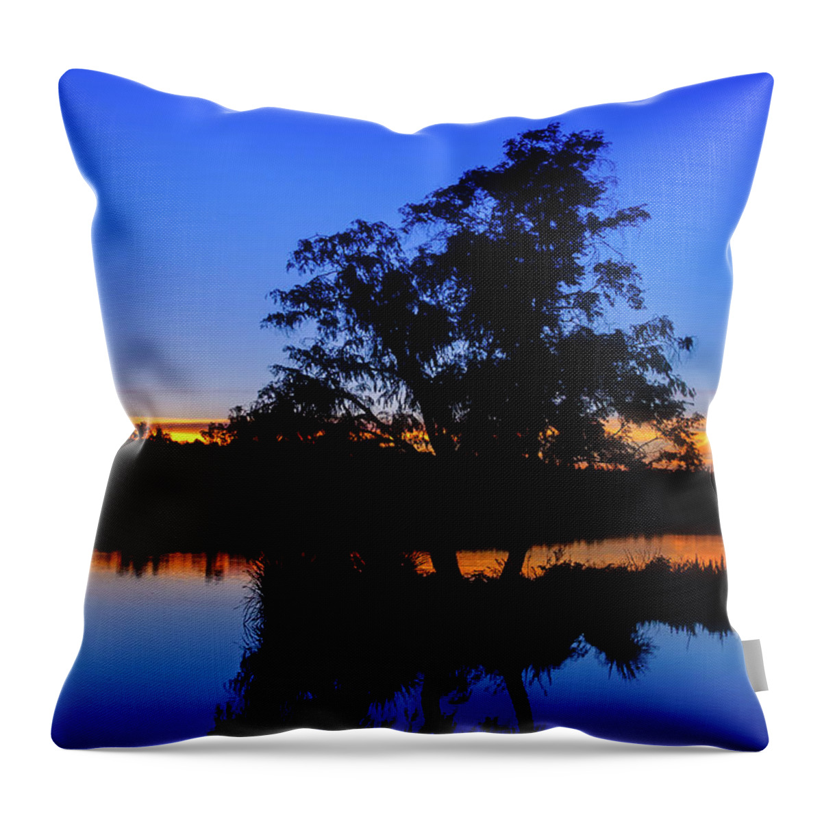 Mad About Wa Throw Pillow featuring the photograph Wagardu Lake, Yanchep National Park by Dave Catley