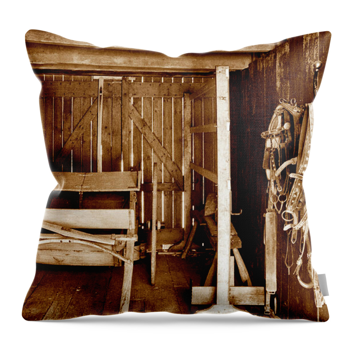 Infrared Throw Pillow featuring the photograph Wagon Stall by Paul W Faust - Impressions of Light