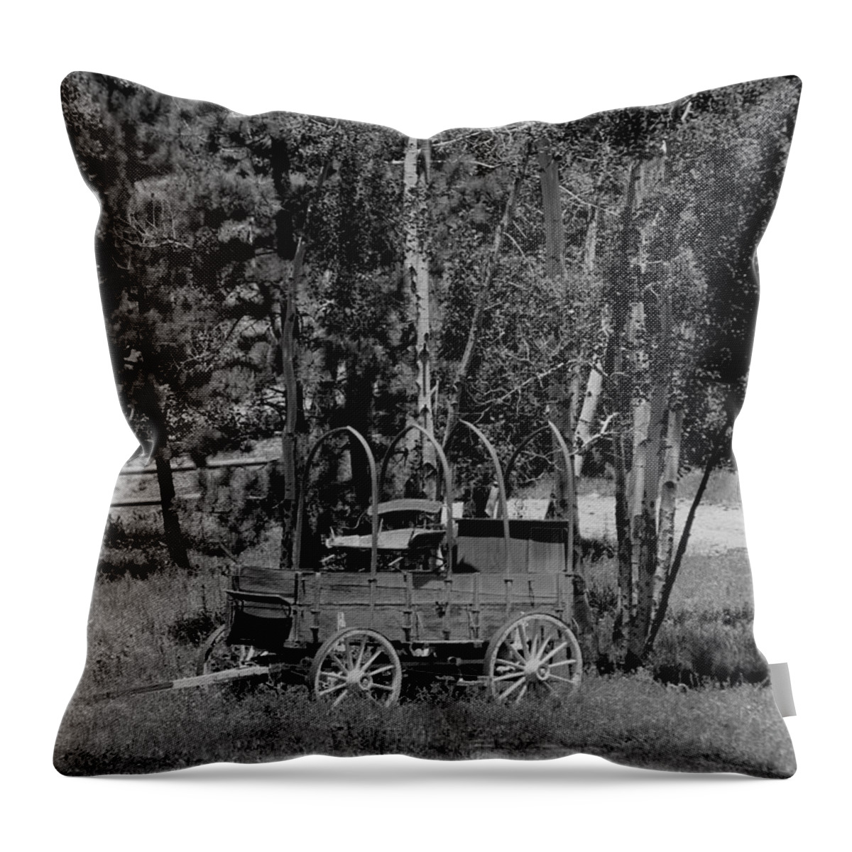 Wagon Throw Pillow featuring the photograph Wagon Trail by Trent Mallett