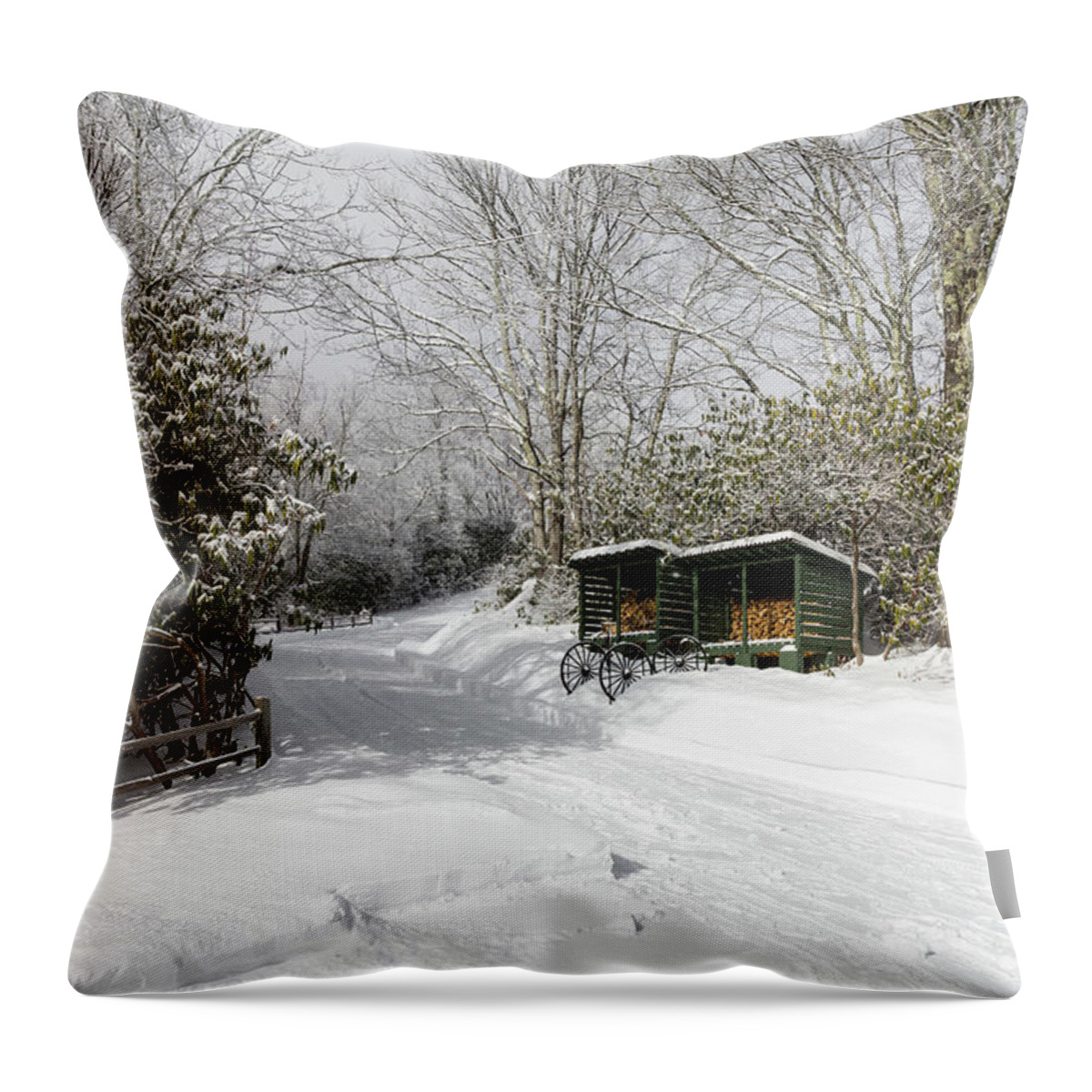Snow Throw Pillow featuring the photograph Wagon Wheels and Firewood by D K Wall