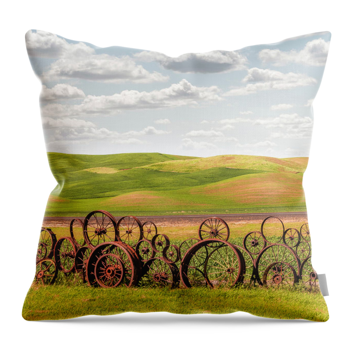 Agriculture Throw Pillow featuring the photograph Wagon wheels art work by Usha Peddamatham