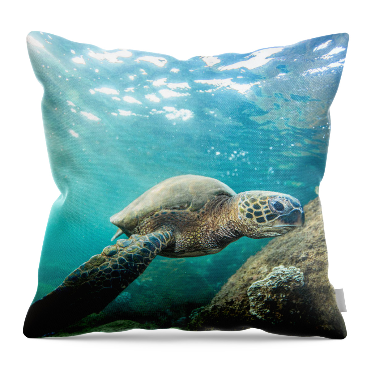 Hawaii Photography Throw Pillow featuring the photograph Waimea Sea Turtle by Leonardo Dale