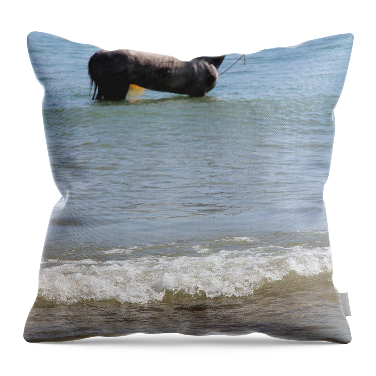 Horse Throw Pillow featuring the photograph Wait Game by Munir Alawi