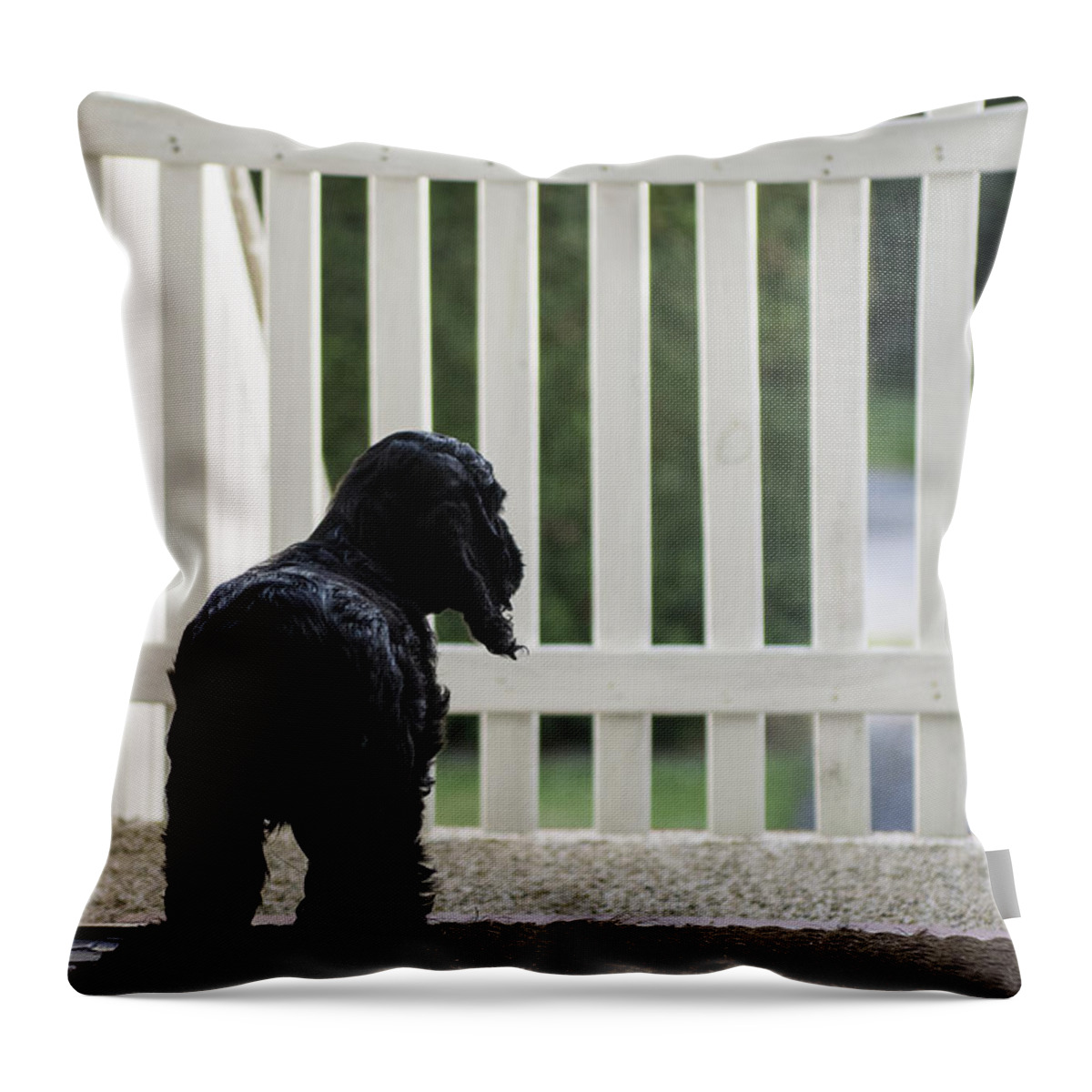 Puppy Throw Pillow featuring the photograph Waiting by Camilla Brattemark