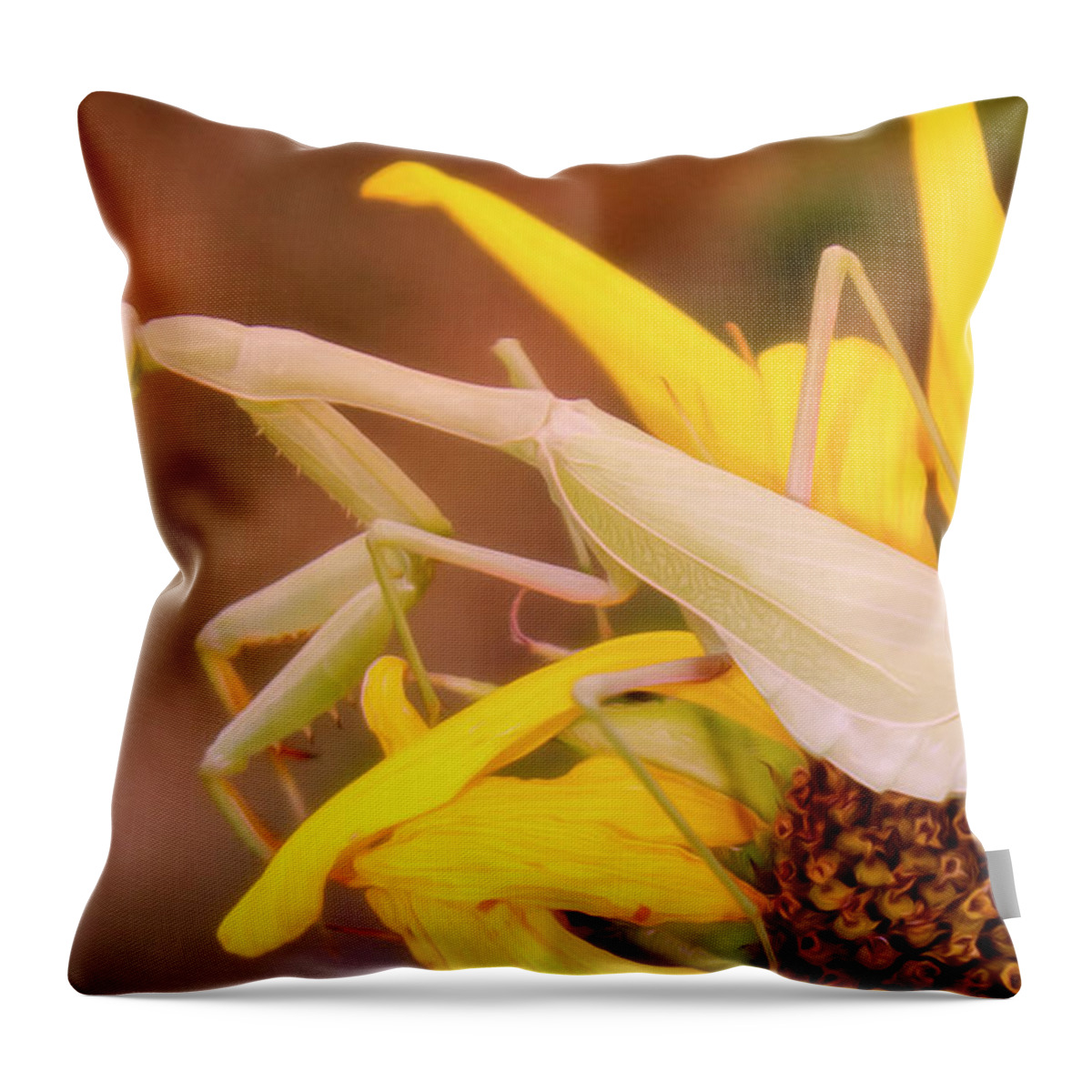 Enlightened Animals Throw Pillow featuring the digital art Waiting For A Beau by Becky Titus