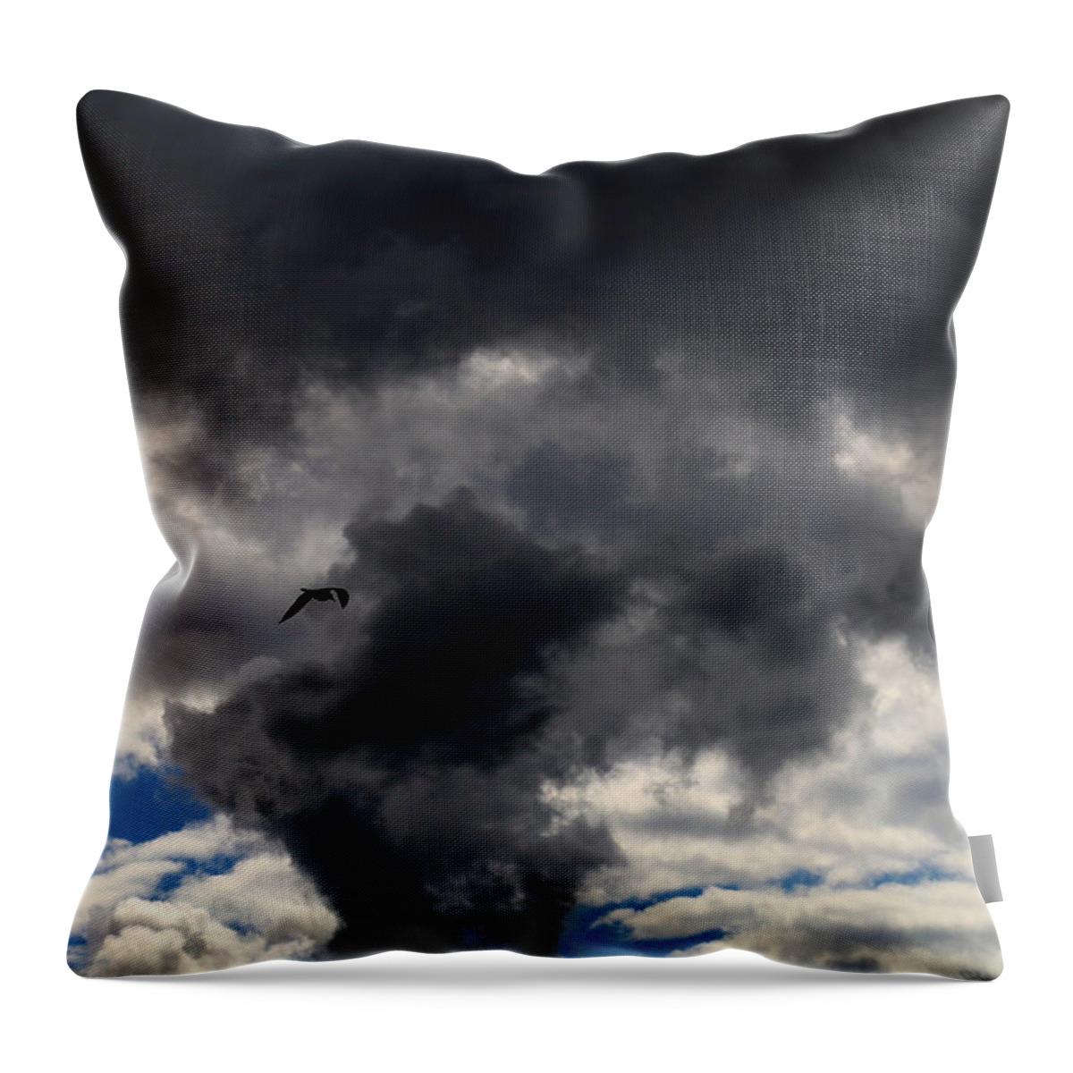 Clouds Throw Pillow featuring the photograph Waiting for the Storm with Gull by Mary Bedy
