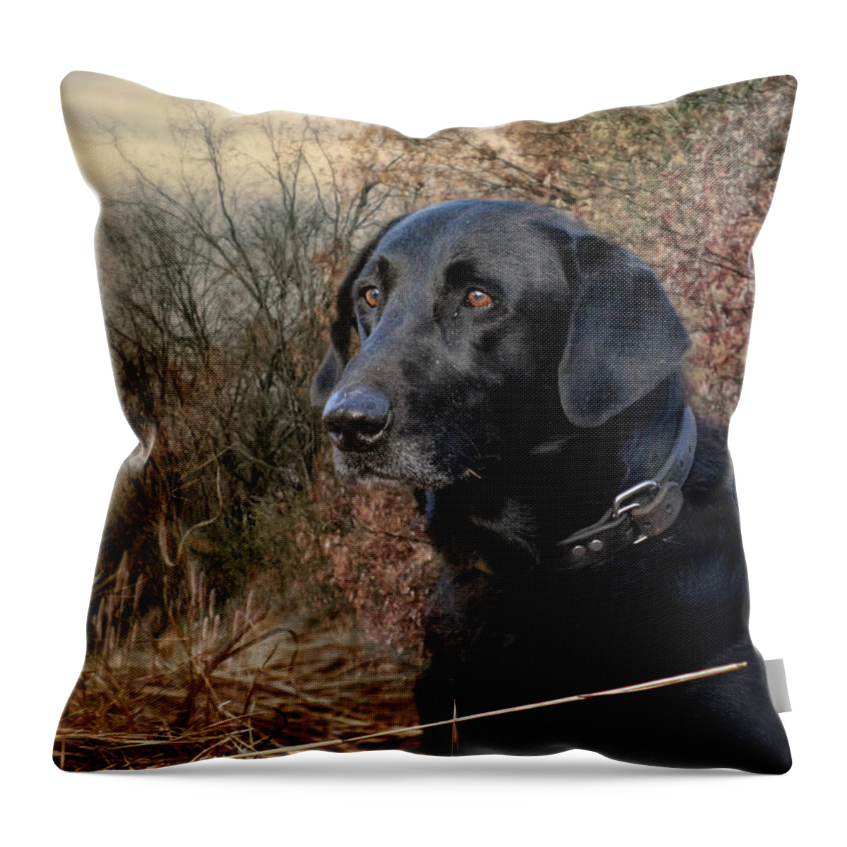 Jai Johnson Throw Pillow featuring the photograph Waiting For The Word by Jai Johnson