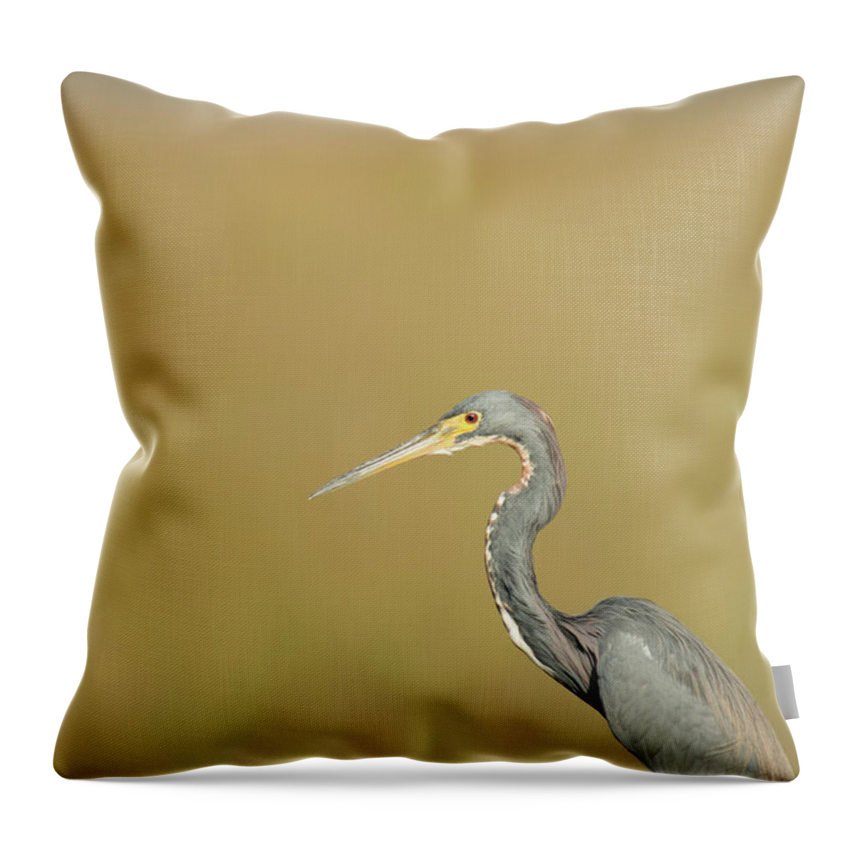Everglades National Park Throw Pillow featuring the photograph Waiting by Frank Madia