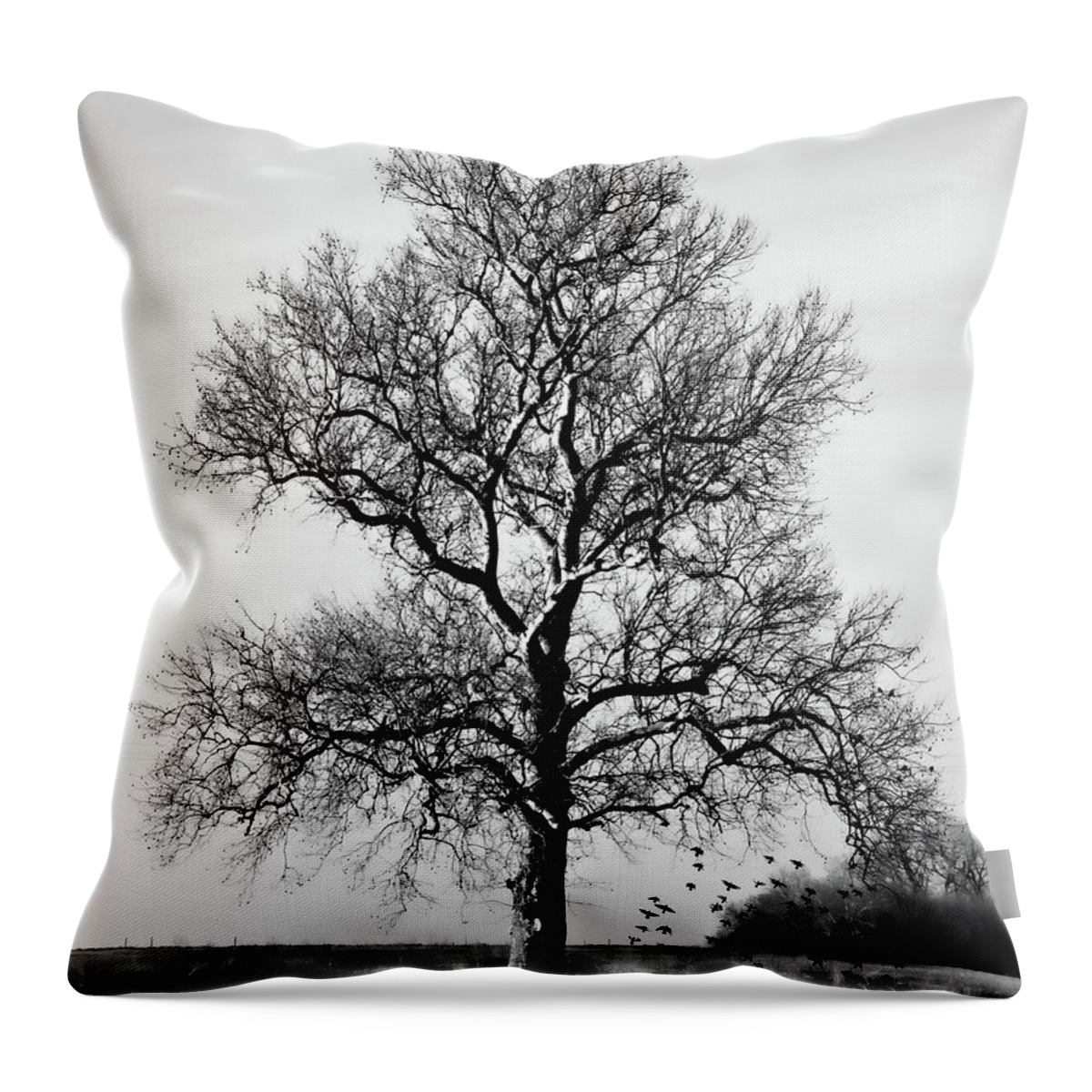 Tree Throw Pillow featuring the photograph Waiting by Lana Trussell